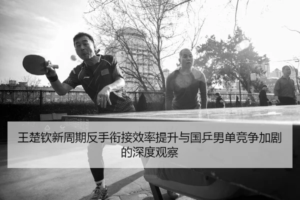 王楚钦新周期反手衔接效率提升与国乒男单竞争加剧的深度观察