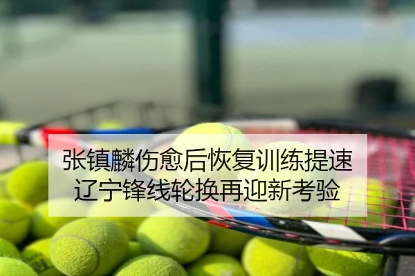 张镇麟伤愈后恢复训练提速 辽宁锋线轮换再迎新考验